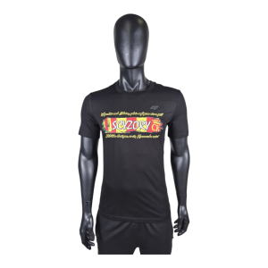 4F Koszulka "W grodzie nad Silnicą"